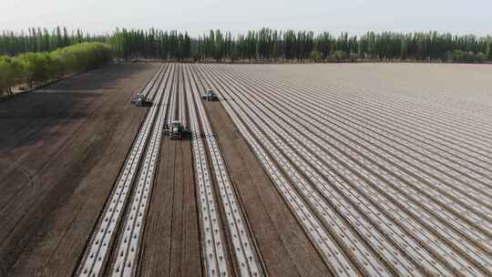 航拍中国新疆春季 棉花机械播种