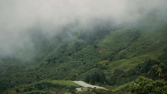 哥伦比亚，山坡，种植园，云