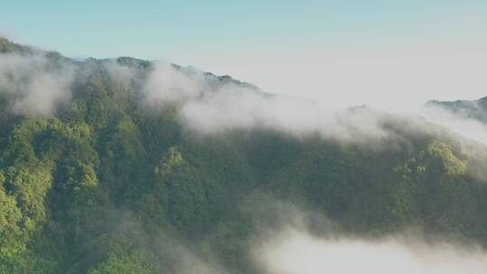 高山山峦晨曦云海航拍浙江开化钱江源森林