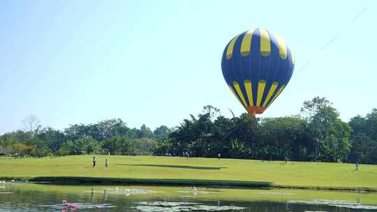 西双版纳热带植物园-热气球视频素材模板下载