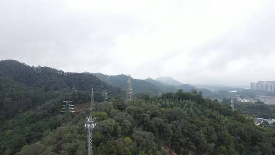 雨后的山林