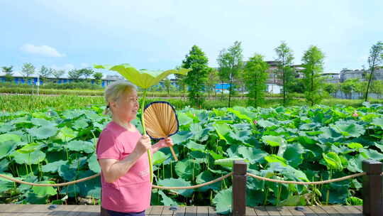 老奶奶夏天池塘边散步