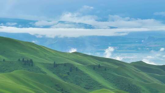 新疆天山草原风光