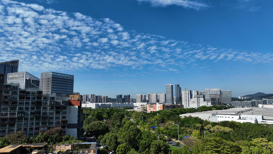 广州城市的玻璃幕墙建筑和道路绿化高清在线视频素材下载