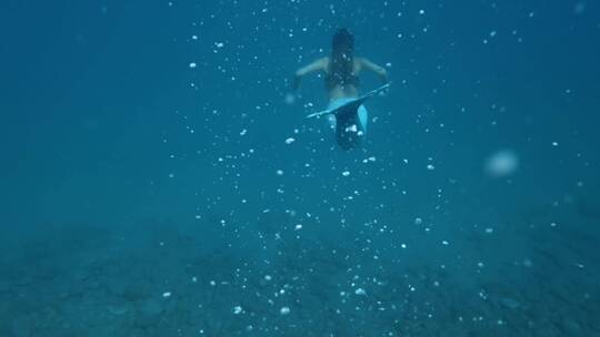 海底的美人鱼