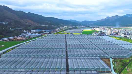 航拍蔬菜大棚农业景观