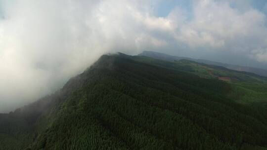 大山航拍森林覆盖