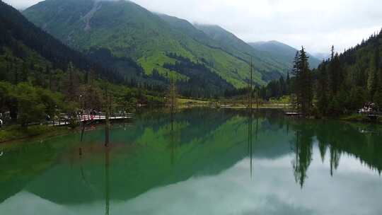 湖泊森林 植被 山谷 四姑娘山景区航拍