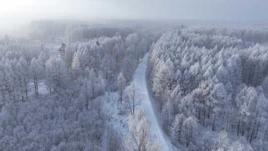 大兴安岭林海雪原和山路曙光