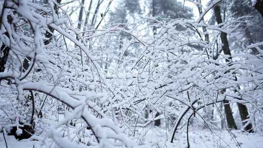 伏牛山冬季雪景雾凇