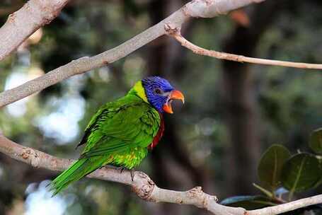 百慕大三角的梦 神秘 百慕大 梦境 百慕大三角的梦 神秘 百慕大 梦境