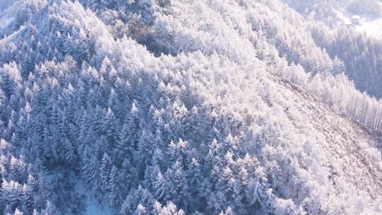 4k航拍恩施雪山雾凇风光