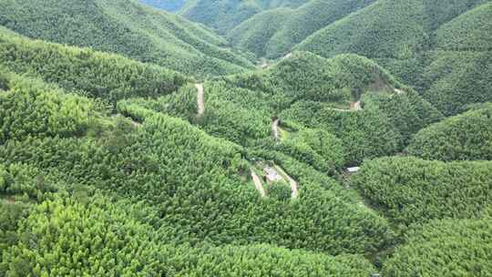 平塘马安竹海航拍 竹林森林云海