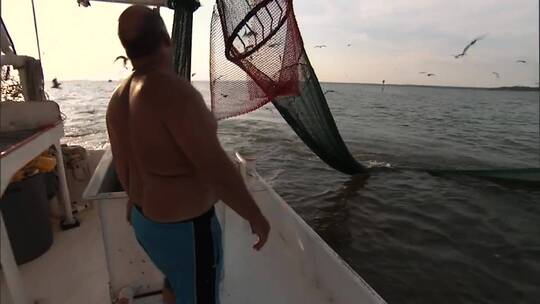 男人们从船上拉起渔网视频素材模板下载