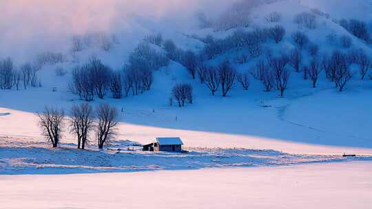 冬日小屋冬季雪景木屋雪山森林树林新疆风景