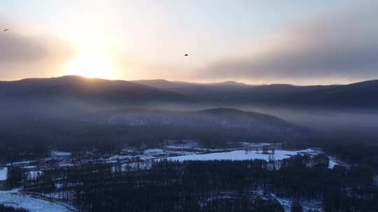 冷空气笼罩的林海雪原朝阳