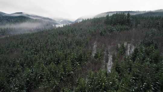 山，冬天，雪，树