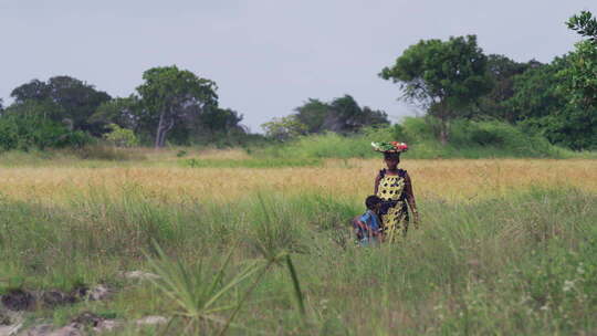 非洲女人头顶蔬菜篮子接孩子放学回家