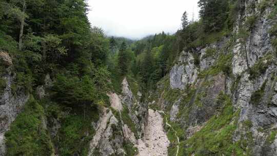 干河床阿尔马赫峡谷巴伐利亚阿尔卑斯山德国