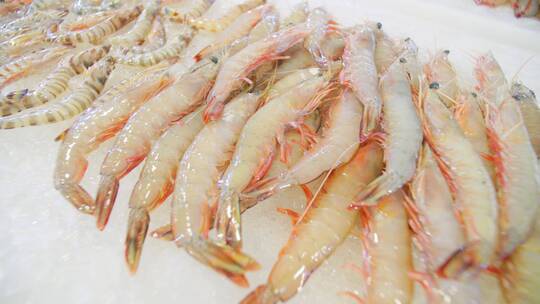 海鲜 食材 美味  菜场 海鲜 贝壳  虾  鱼