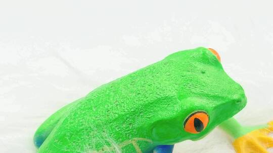 树蛙青蛙模型玩具