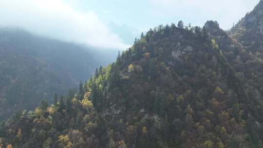 青海互助北山秋景雪山云雾