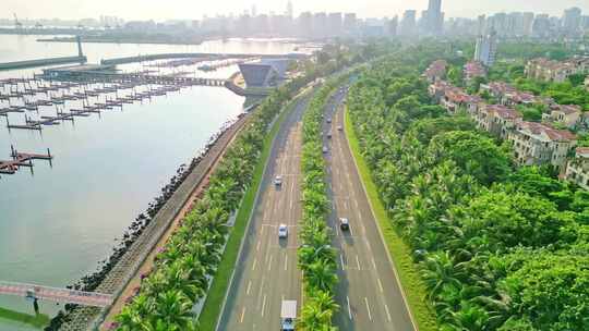 早晨晨曦阳光下的海南海口海岸线椰林大道