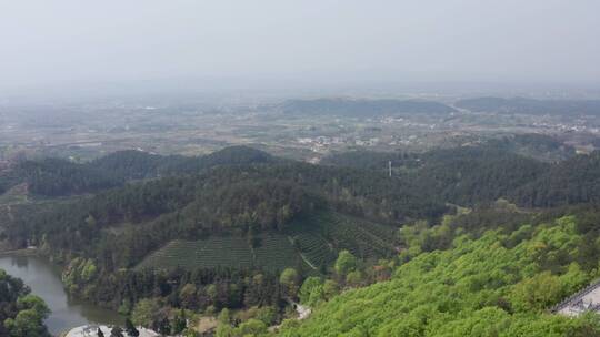 光山净居寺紫云塔