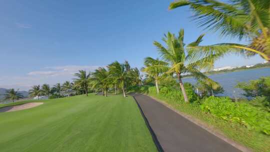 穿越机 高尔夫 草坪 路 椰子树