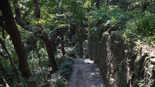 杭州西湖葛岭抱朴道院小路