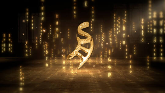 汉字演化甲骨文模板