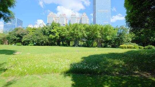 植物园公园林荫大道林间小路跑道观光步道