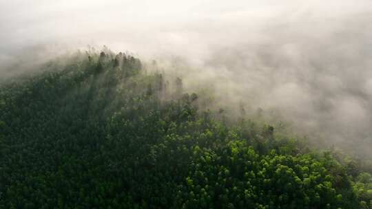 航拍黎明辽阔山川云海风景