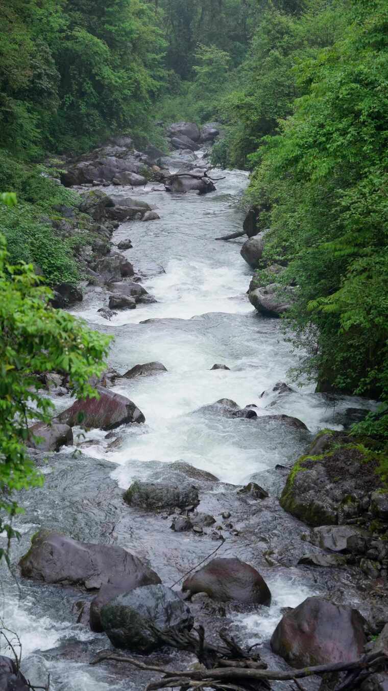瀑布沟谷溪流泉水激流慢镜头4K竖屏