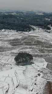 竖版航拍南方乡村田园农田梯田雪景