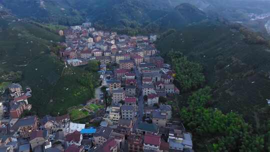 东穆坞村 留下街道 茶山 茶叶 茶山