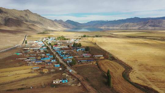 新疆可可托海东风农场一处村庄秋天田园风光视频素材模板下载