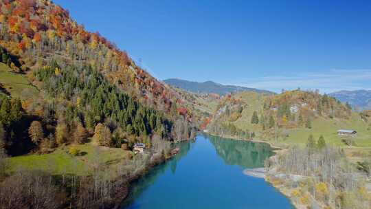 山，峡谷，森林，树木