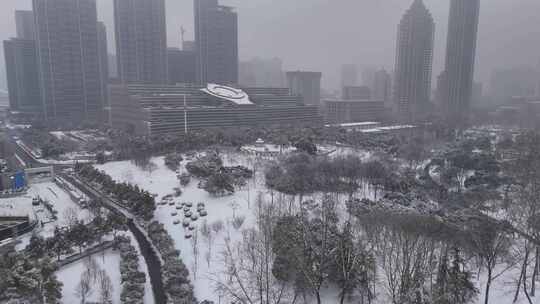 武汉沙湖公园大雪航拍