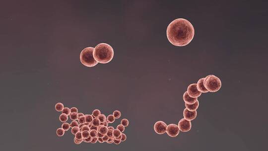医学病原体病毒病原体病菌细菌医学三维动画