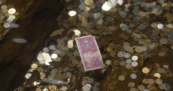 景区水池里游客留下的钱币