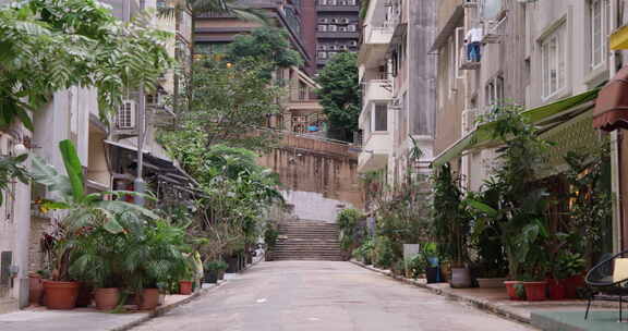 香港宁静安静的居民楼街景和城市丛林