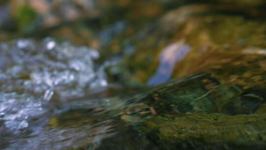 森林溪水流水花清澈山泉青苔藓小溪泉水