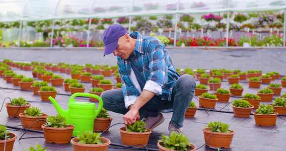 农民在农场检查植物