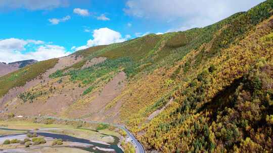 航拍四川川西新都桥甲根坝秋景彩林红叶秋天