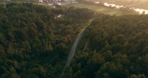 森林中的道路航拍