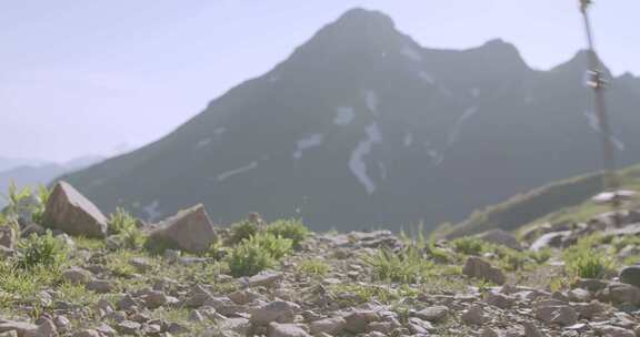 一对夫妇在山上徒步旅行