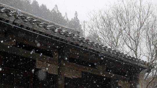 初雪飘落-古建园林雪花飘落