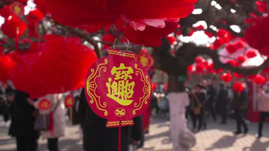 北京传统庙会地坛庙会视频素材模板下载