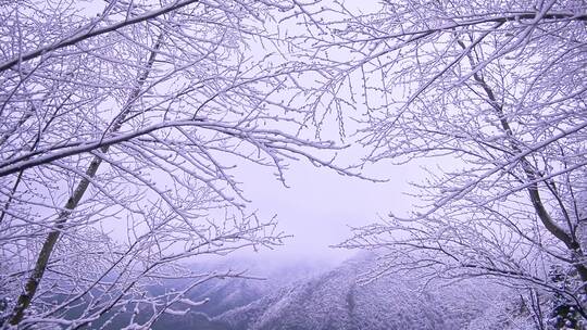 江西三清山雪景视频素材模板下载